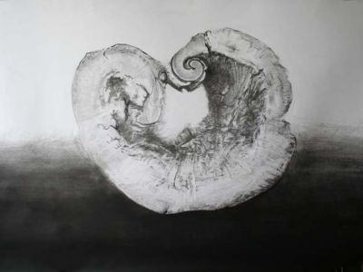 100 cm x 70 cm